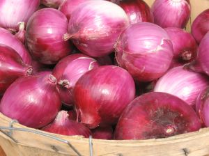 [onions.jpg]