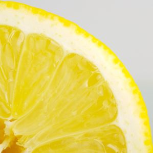 [lemon+slice.jpg]