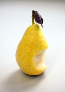 [pear+with+bite.jpg]