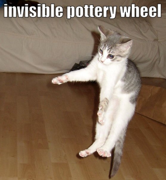 [cat+invisible+pottery+wheel.jpg]
