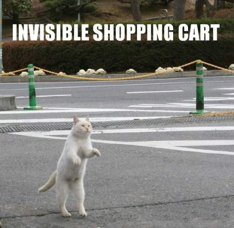 [invisible+shopping+cart.jpg]