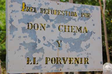 [6don-chema's-forest-sign.jpg]