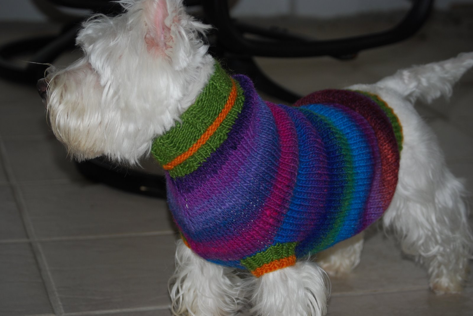 [Lucys+sweater.JPG]