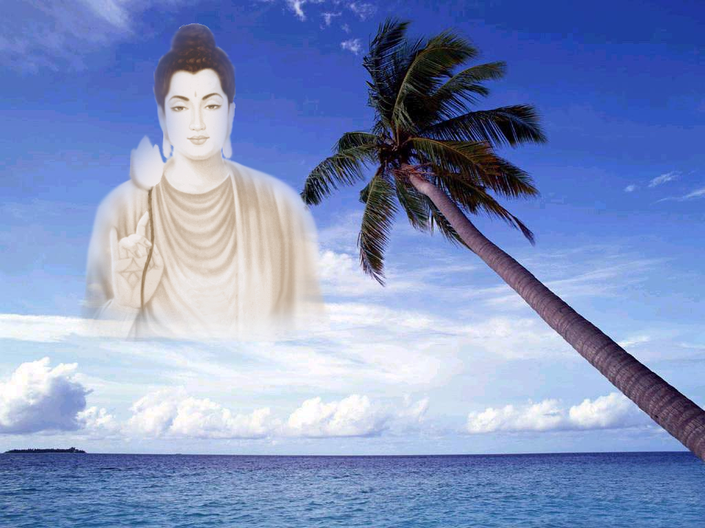 [Buddha++coconut+tree.jpg]