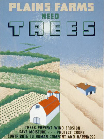 [trees.jpg]