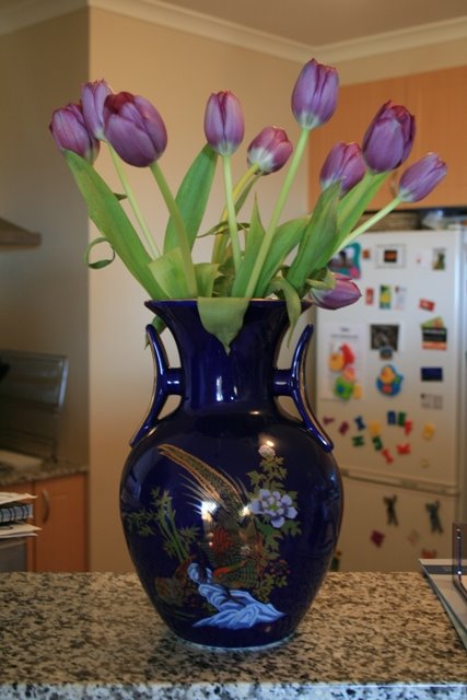 [Tulips+for+me.jpg]
