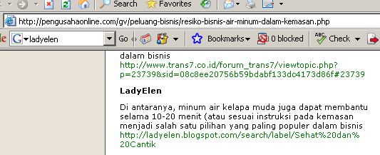 [lady+on+bisnisonline1.jpg]