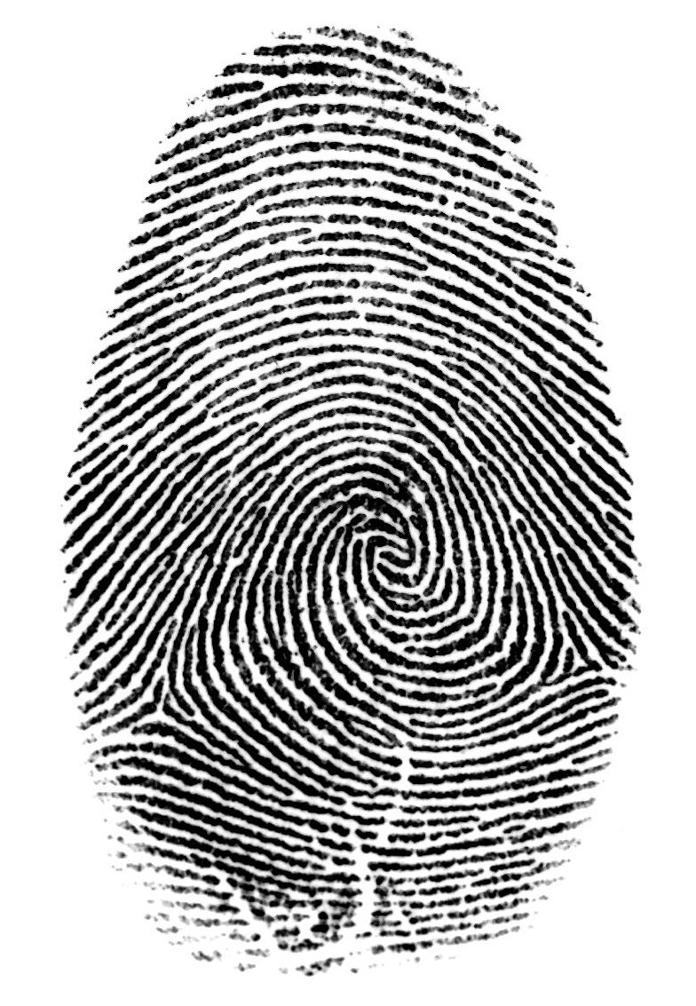 [fingerprint.jpg]