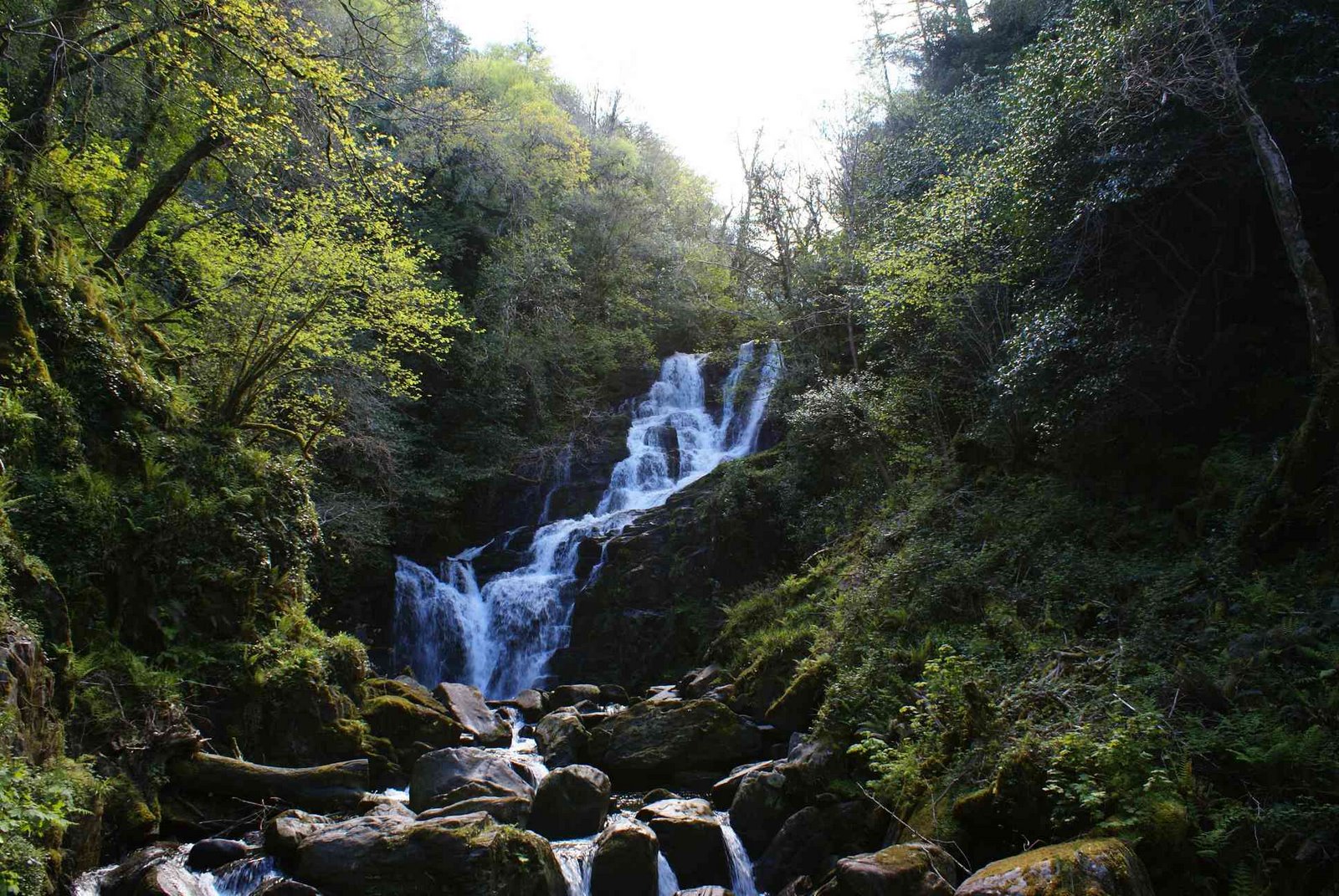 [DSC01345+Torc+Waterfall+-+Killarney+National+Park.JPG]
