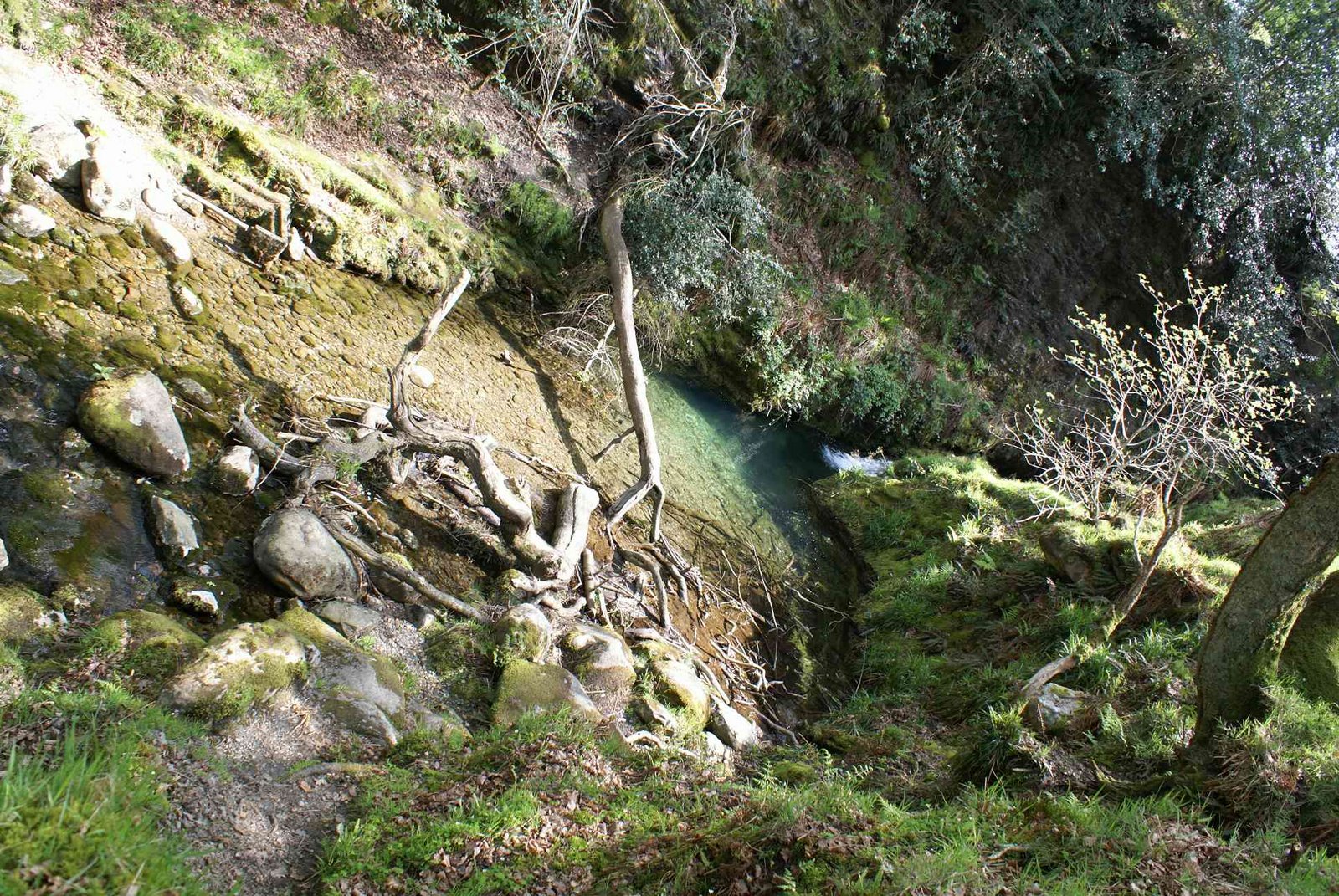 [DSC01865+Poulanass+Waterfall+-+Glendalough+Woods+Nature+Reserve.JPG]