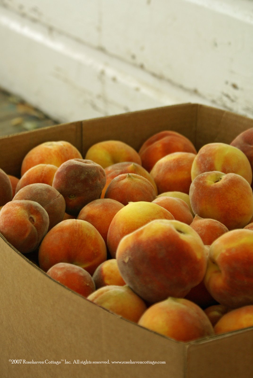 [Box+of+peaches.jpg]