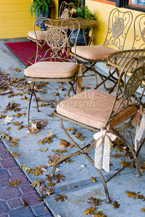 [Cafe+Chairs+and+Fallen+Leaves.jpg]