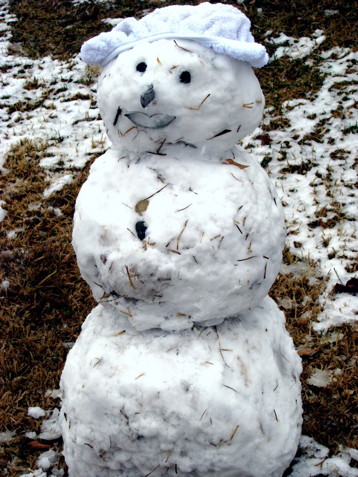 [BO's+snowman.jpg]
