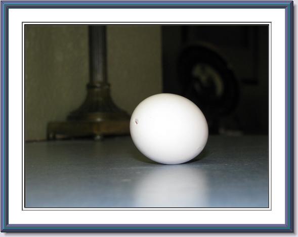 [2008_3_19+egg+with+hole.jpg]