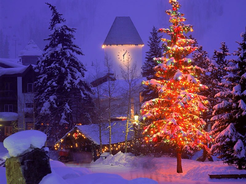[Christmas+Village,.jpg]