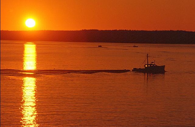 [fishing_boat_at_bar_harbor_sunrise.jpg]