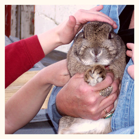 [Precious+Bunny.jpg]