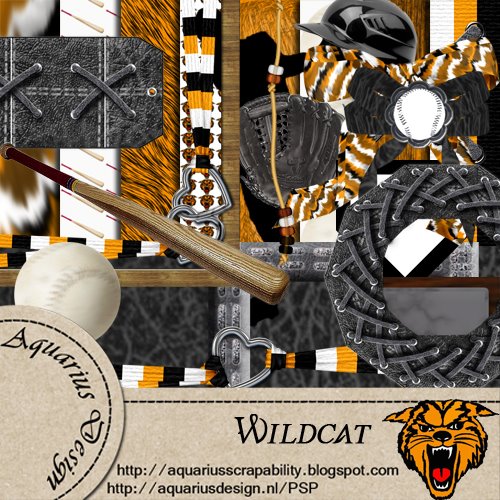 [preview-Wildcat-AD.jpg]
