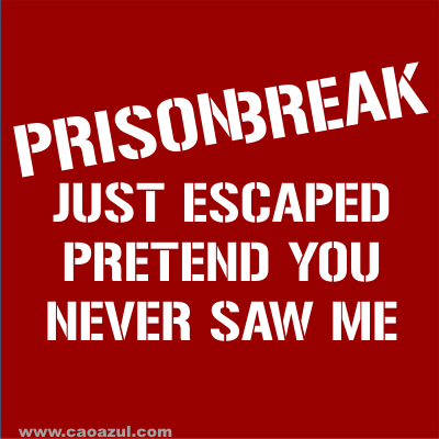 [prison%20break.gif]