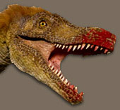 [index-images-large-velociraptor.jpg]