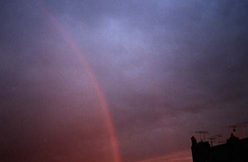 [rainbow1.gif.jpg]