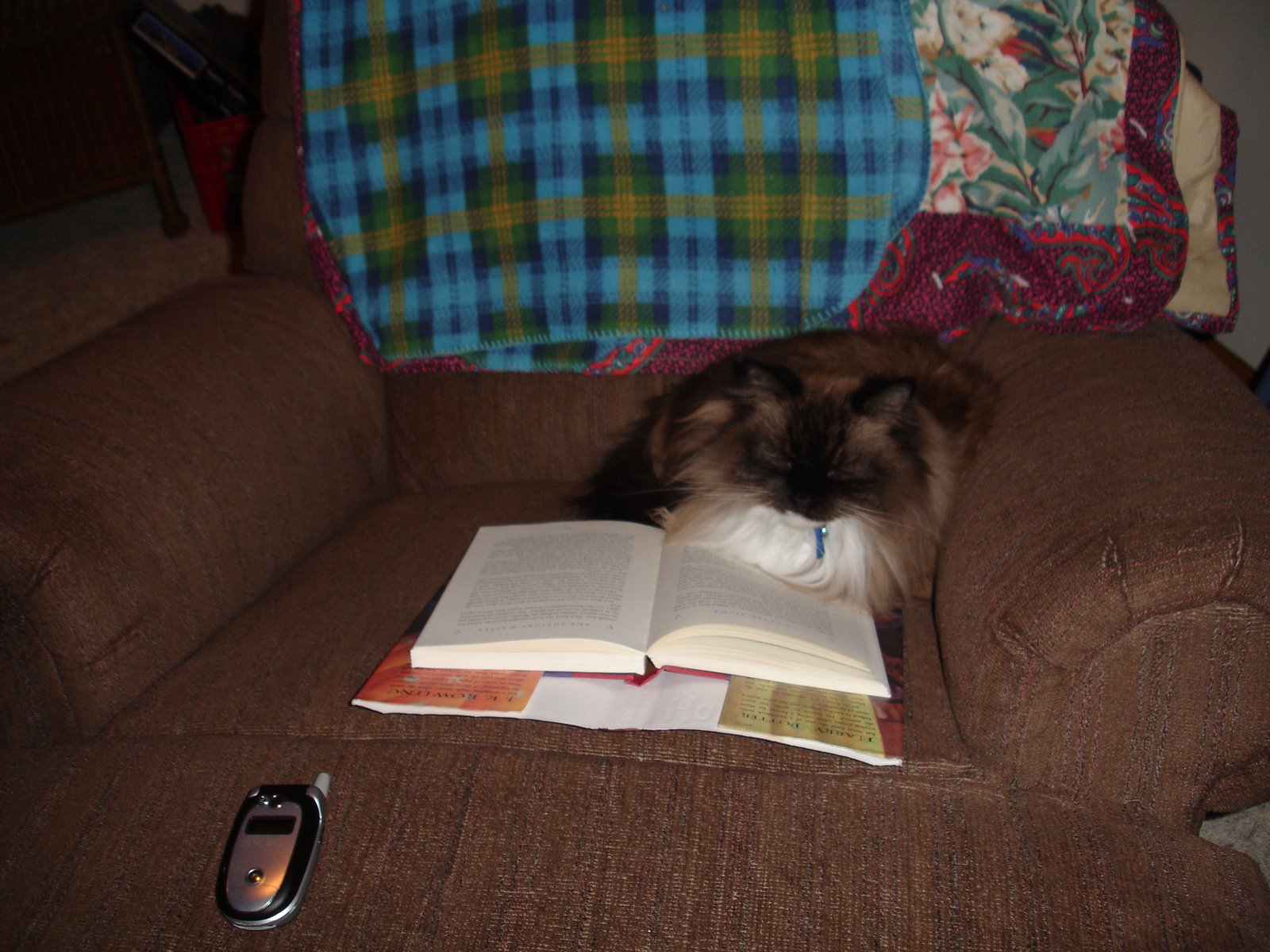 [Reading+Kitty+001.jpg]