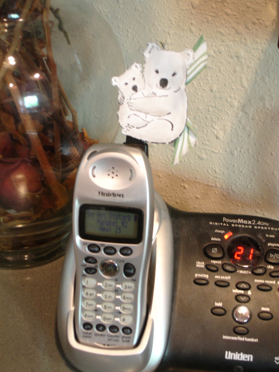[koala+phone.JPG]