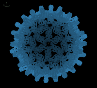 [coot-200A-virus.png]