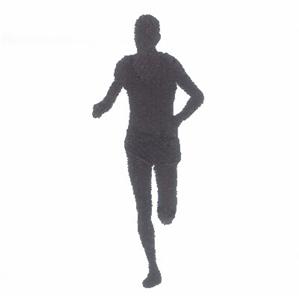 [Track.Runner+Silhouette.(CD021406TI).(3.5x1.46).5472.jpg]