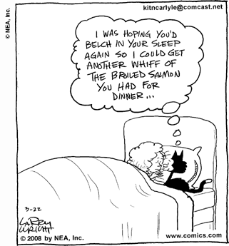 [Cartoon+cat+belch+in+your+sleep.gif]