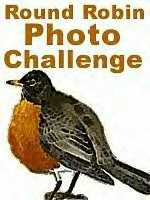 [Round+Robin+Photo+Challenge+logo.jpg]