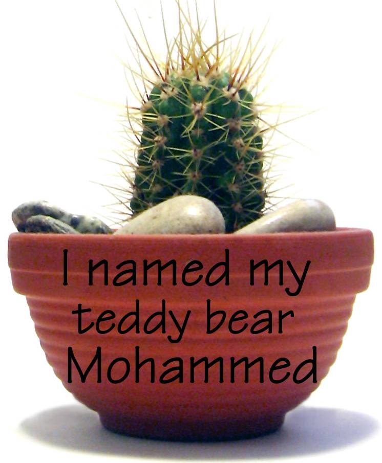 I named my teddy bear Mohammed
