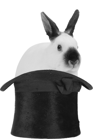 [rabbit-hat.gif]