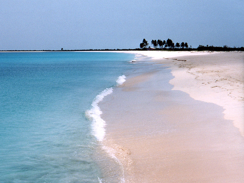 [barbuda_palm_beach_caribbean.jpg]