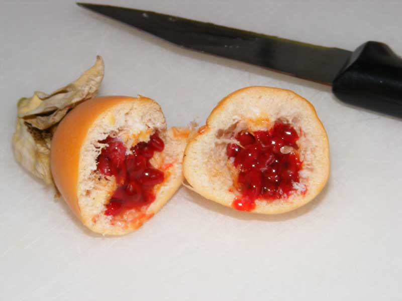 [passionfruit-cut.jpg]