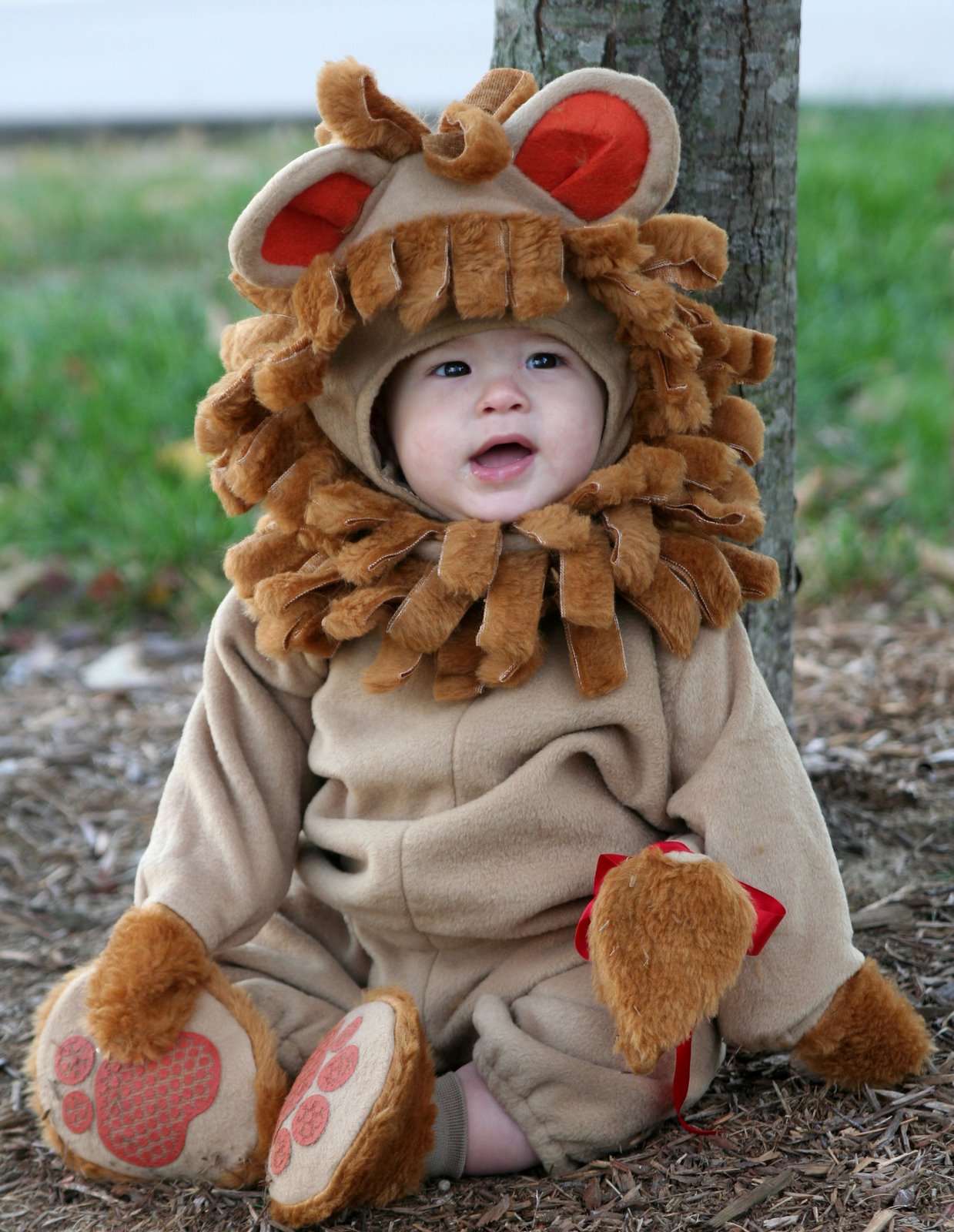 [Lion+Halloween.jpg]