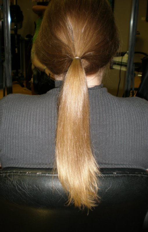 [ponytail.jpg]