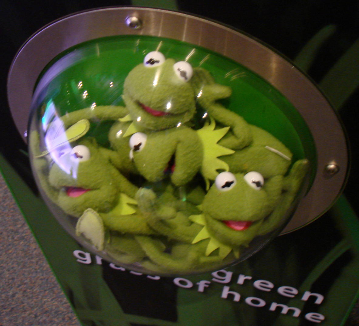 [Green+Kermit.JPG]