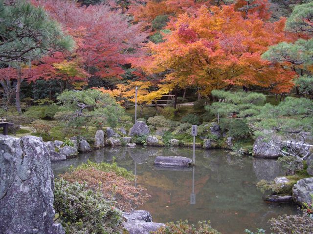[Kyoto+momiji+-+ginkakuji+garden.jpg]