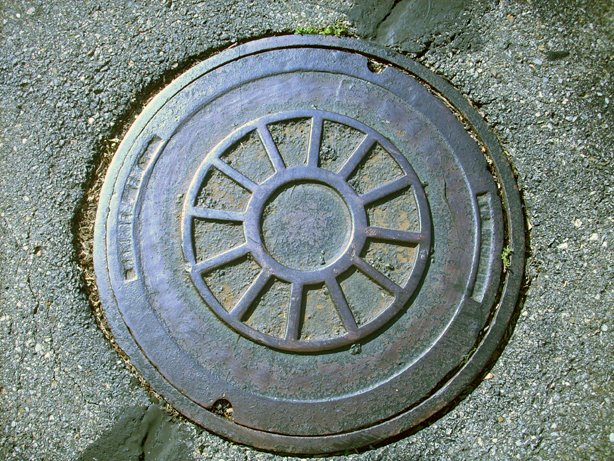 [manhole-cover2.jpg]