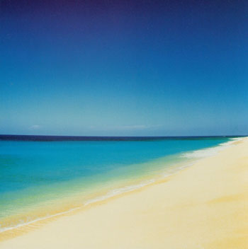 [web-quadros-Callahan - oahu beach, Hawaii.jpg]