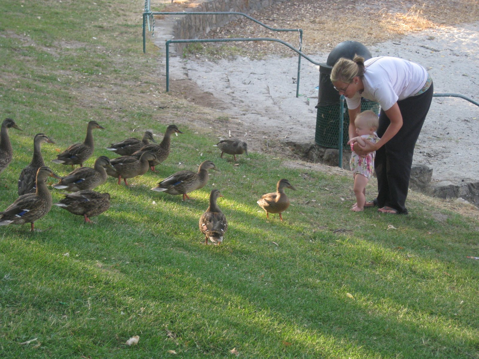 [Feeding+the+ducks.JPG]