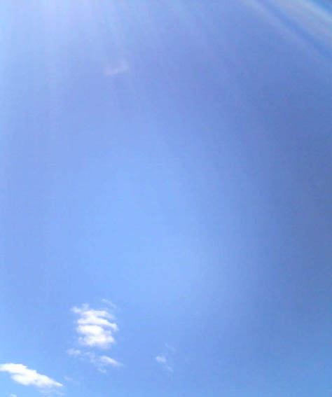 [auckland+sky.jpg]