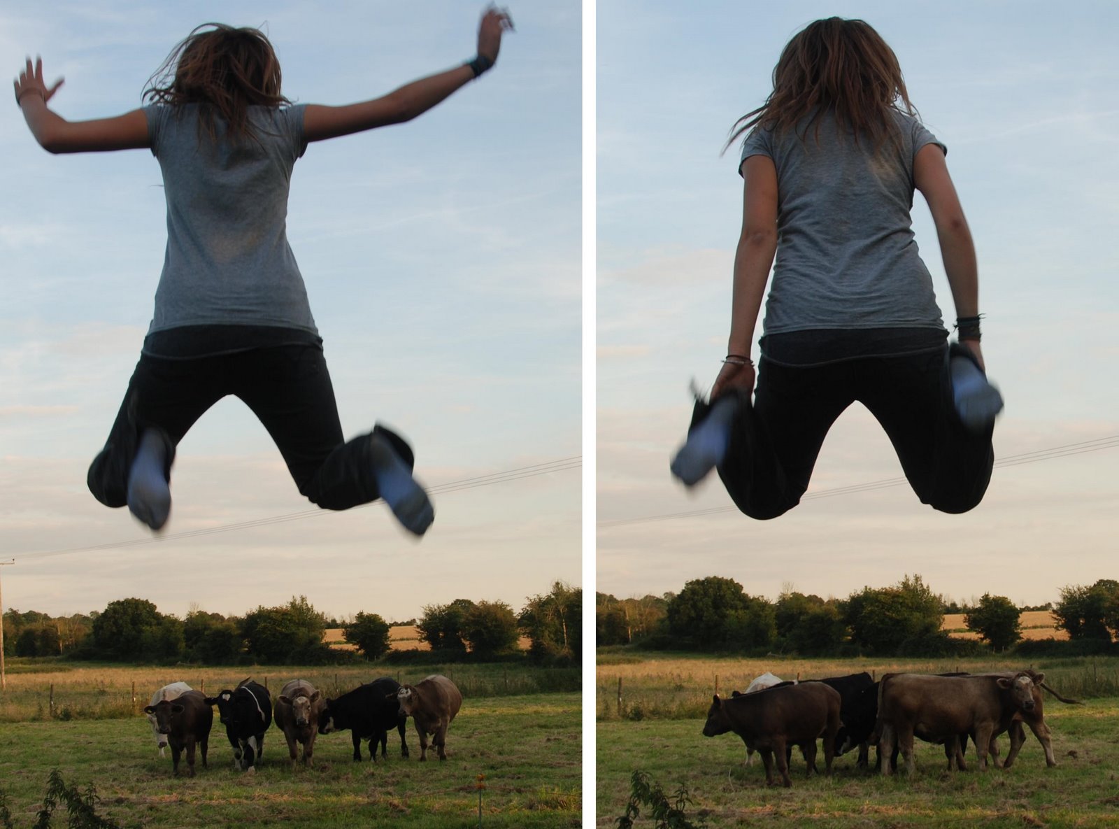 [jumped+over+the+cows.jpg]