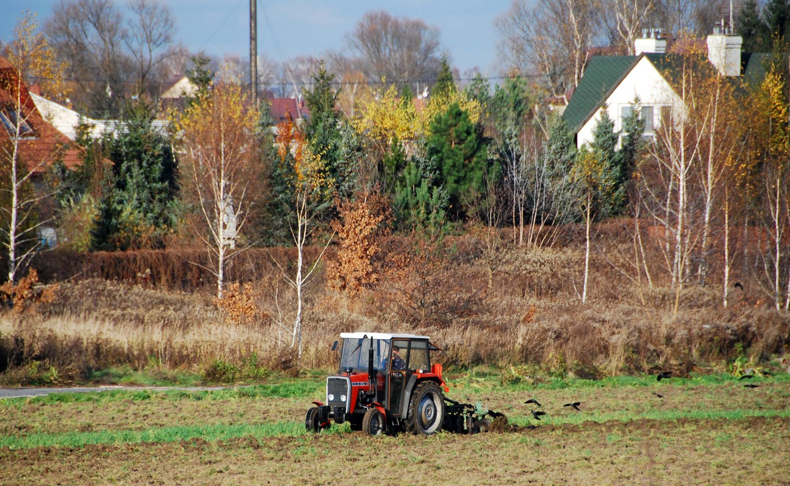 [Autumn+ploughing2.jpg]