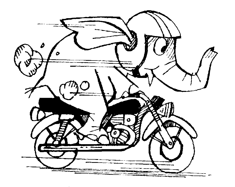 [elephant_bike.png]