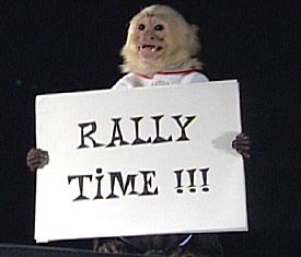 [rally_monkey.jpg]
