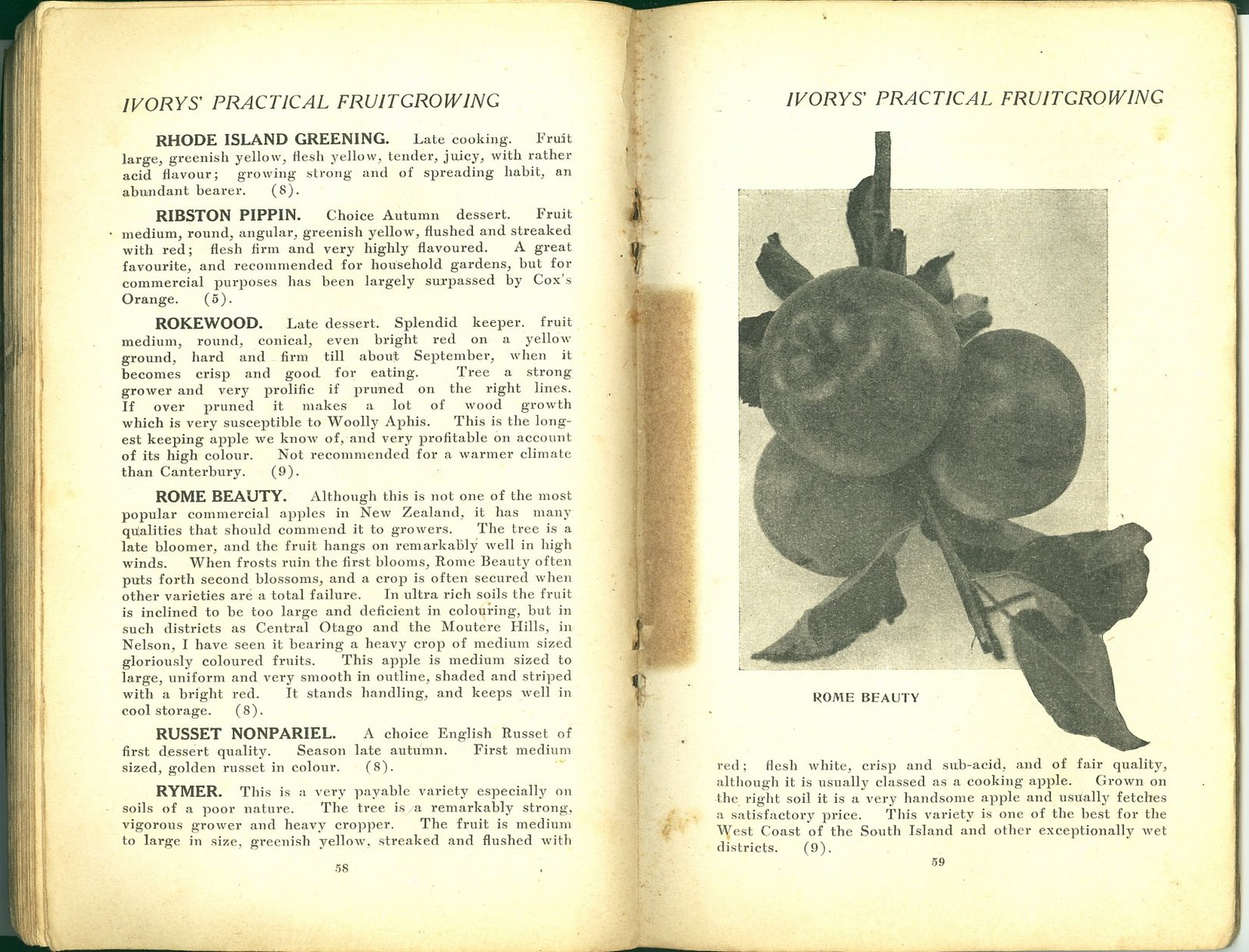 [1922xxxx+Brochure+Ivorys'+Practical+Fruit+Growing+Pg+058+059.jpg]