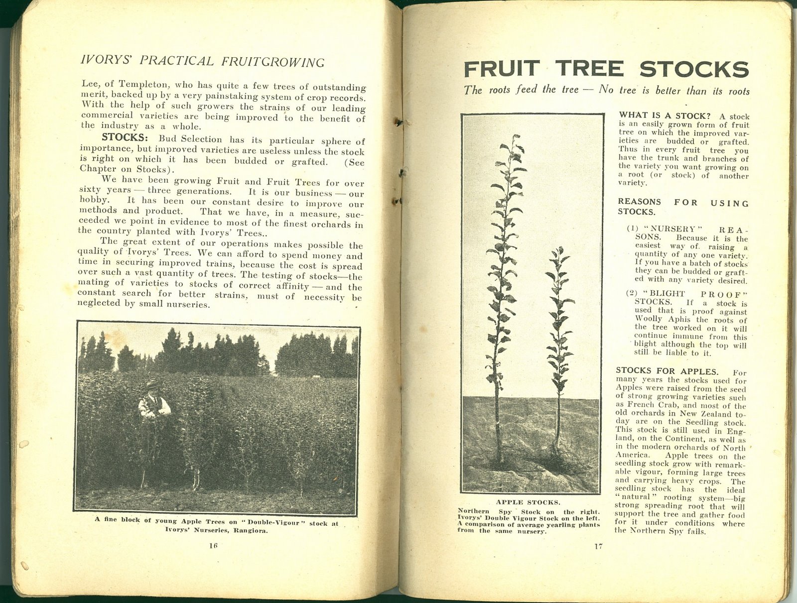[1922xxxx+Brochure+Ivorys'+Practical+Fruit+Growing+Pg+016+017.jpg]