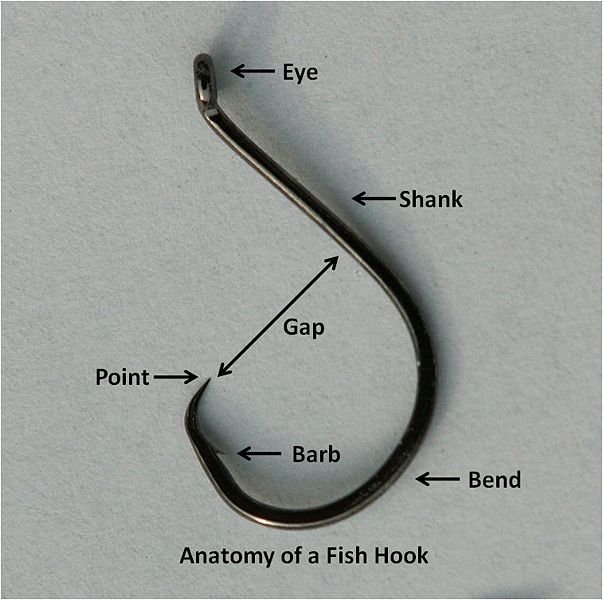 [603px-Anatomyofafishhook.jpg]